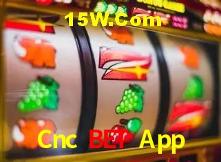 Sistemas de Segurança Cnc Bet App