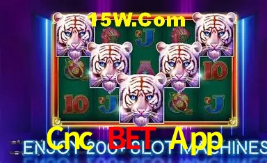 Avaliações dos Jogadores Cnc Bet App